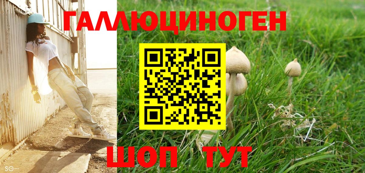 Псилоцибиновые грибы GOLDEN TEACHER Ирбит